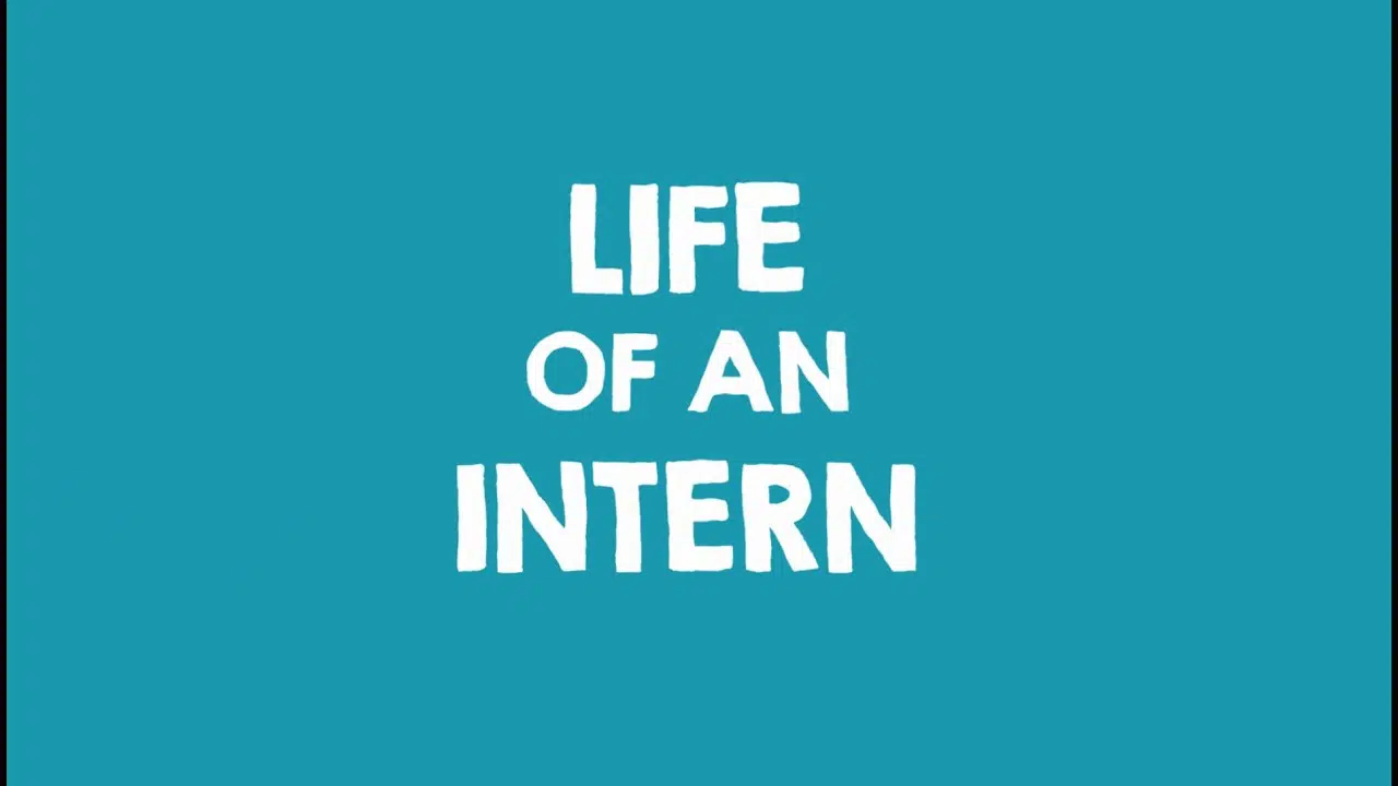 Life Of An Intern